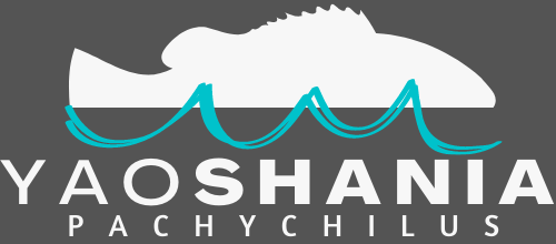Yaoshania Pachychilus