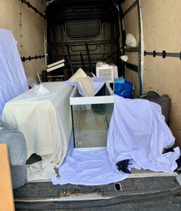 Read more about the article Umzug – Teil 3 Der Transport